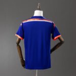 Japan 2014 Home Domaći