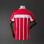 PSV Eindhoven 1995/1996 Home Domaći